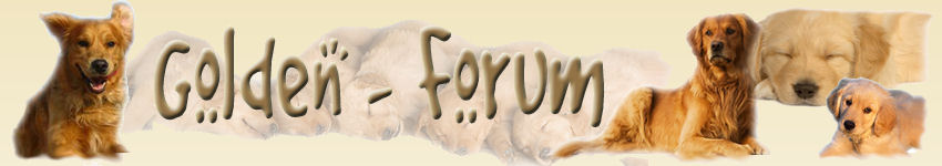 Il Forum del GOLDEN RETRIEVER